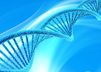 Multidimensional Approach to Decoding the Mysteries of Animal Development